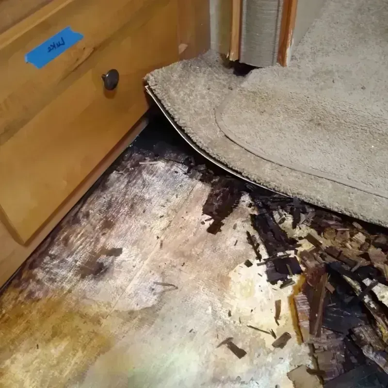 Wood Floor Water Damage in Crosby, MN